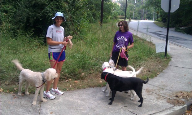 DogWalkersVinings Walkers, and a few four-legged friends on the streets of Vinings.