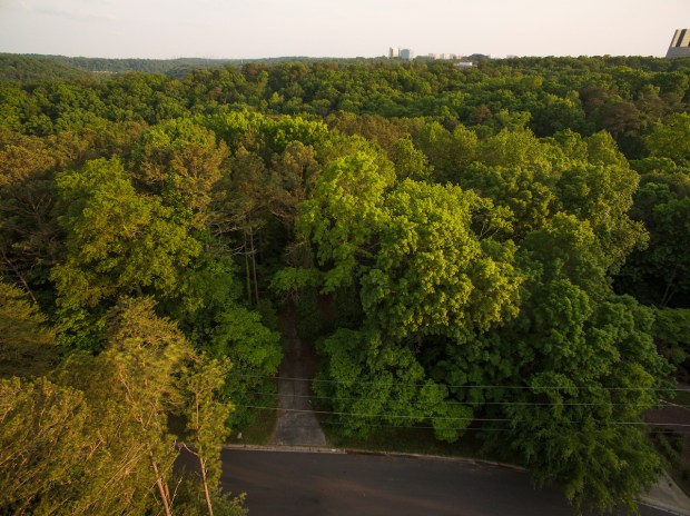 109-photo-means-170428HUN