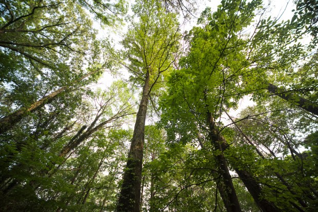 5746-photo-means-170428HUN